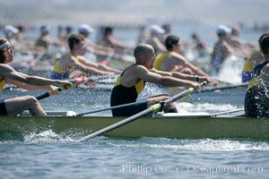 UCSD men on their way to winning the finals of the Cal Cup, 2007 San Diego Crew Classic, Mission Bay