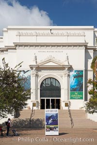 The San Diego Museum of Natural History, Balboa Park, San Diego.  The San Diego Natural History Museum is the place to find dinosaur bones and get a close up look at insects, birds and organic matter that make our outside world so interesting. Renovated in 2001, a new wing has doubled the museums original 65,000 square feet of floor space to about 150,000 square feet