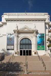 The San Diego Museum of Natural History, Balboa Park, San Diego.  The San Diego Natural History Museum is the place to find dinosaur bones and get a close up look at insects, birds and organic matter that make our outside world so interesting. Renovated in 2001, a new wing has doubled the museums original 65,000 square feet of floor space to about 150,000 square feet