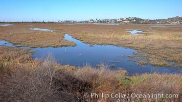 San Elijo lagoon at high tide, looking from the south shore north west, San Elijo Lagoon, Encinitas, California