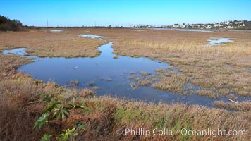 San Elijo lagoon at high tide, looking from the south shore north west, San Elijo Lagoon, Encinitas, California