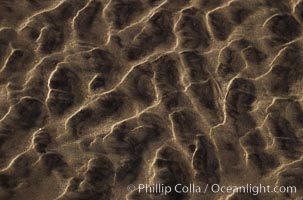 Sand ripples