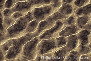 Sand ripples