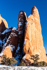 Fins.  The vertical slabs of Entrada sandstone may become natural sandstone arches, Arches National Park, Utah