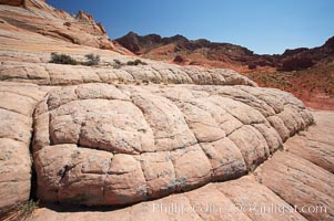 Sandstone joints.  These cracks and joints are formed in the sandstone by water that seeps into spaces and is then frozen at night, expanding and cracking the sandstone into geometric forms, North Coyote Buttes, Paria Canyon-Vermilion Cliffs Wilderness, Arizona