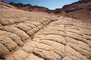 Sandstone joints.  These cracks and joints are formed in the sandstone by water that seeps into spaces and is then frozen at night, expanding and cracking the sandstone into geometric forms, North Coyote Buttes, Paria Canyon-Vermilion Cliffs Wilderness, Arizona