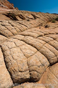 Sandstone joints.  These cracks and joints are formed in the sandstone by water that seeps into spaces and is then frozen at night, expanding and cracking the sandstone into geometric forms, North Coyote Buttes, Paria Canyon-Vermilion Cliffs Wilderness, Arizona