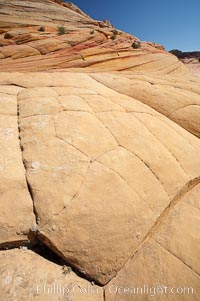 Sandstone joints.  These cracks and joints are formed in the sandstone by water that seeps into spaces and is then frozen at night, expanding and cracking the sandstone into geometric forms, North Coyote Buttes, Paria Canyon-Vermilion Cliffs Wilderness, Arizona