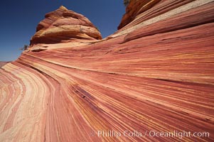 Sandstone striations.  Prehistoric sand dunes, compressed into sandstone, are now revealed in sandstone layers subject to the carving erosive forces of wind and water, North Coyote Buttes, Paria Canyon-Vermilion Cliffs Wilderness, Arizona