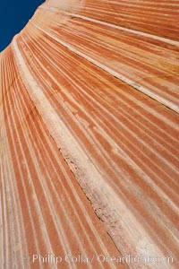 Sandstone striations.  Prehistoric sand dunes, compressed into sandstone, are now revealed in sandstone layers subject to the carving erosive forces of wind and water, North Coyote Buttes, Paria Canyon-Vermilion Cliffs Wilderness, Arizona