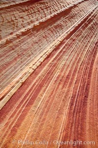 Sandstone striations.  Prehistoric sand dunes, compressed into sandstone, are now revealed in sandstone layers subject to the carving erosive forces of wind and water, North Coyote Buttes, Paria Canyon-Vermilion Cliffs Wilderness, Arizona