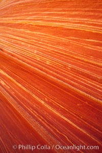 Sandstone striations.  Prehistoric sand dunes, compressed into sandstone, are now revealed in sandstone layers subject to the carving erosive forces of wind and water, North Coyote Buttes, Paria Canyon-Vermilion Cliffs Wilderness, Arizona