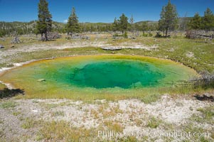 Sarah Hot Spring, east of parking lot at Fairy Falls trailhead.   Midway Geyser Basin, Yellowstone National Park, Wyoming