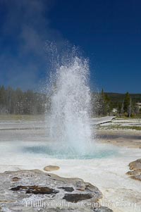 Sawmill Geyser erupting.  Sawmill Geyser is a fountain-type geyser and, in some circumstances, can be erupting about one-third of the time up to heights of 35 feet.  Upper Geyser Basin, Yellowstone National Park, Wyoming