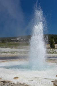 Sawmill Geyser erupting.  Sawmill Geyser is a fountain-type geyser and, in some circumstances, can be erupting about one-third of the time up to heights of 35 feet.  Upper Geyser Basin, Yellowstone National Park, Wyoming