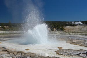 Sawmill Geyser erupting.  Sawmill Geyser is a fountain-type geyser and, in some circumstances, can be erupting about one-third of the time up to heights of 35 feet.  Upper Geyser Basin, Yellowstone National Park, Wyoming