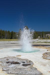Sawmill Geyser erupting.  Sawmill Geyser is a fountain-type geyser and, in some circumstances, can be erupting about one-third of the time up to heights of 35 feet.  Upper Geyser Basin, Yellowstone National Park, Wyoming