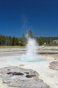 Sawmill Geyser erupting.  Sawmill Geyser is a fountain-type geyser and, in some circumstances, can be erupting about one-third of the time up to heights of 35 feet.  Upper Geyser Basin, Yellowstone National Park, Wyoming