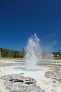 Sawmill Geyser erupting.  Sawmill Geyser is a fountain-type geyser and, in some circumstances, can be erupting about one-third of the time up to heights of 35 feet.  Upper Geyser Basin, Yellowstone National Park, Wyoming