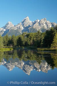 The Teton Range is reflected in the glassy waters of the Snake River at Schwabacher Landing, Grand Teton National Park, Wyoming