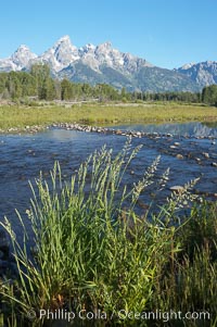 The Teton Range is reflected in the glassy waters of the Snake River at Schwabacher Landing, Grand Teton National Park, Wyoming