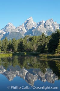 The Teton Range is reflected in the glassy waters of the Snake River at Schwabacher Landing, Grand Teton National Park, Wyoming