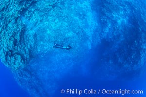 SCUBA diver over pristine South Pacific coral reef, Fiji, Wakaya Island, Lomaiviti Archipelago