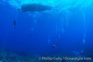 SCUBA divers underwater, Grand Cayman East End