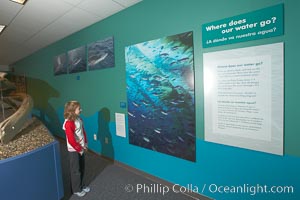 A young visitor views wall displays at the "Water" exhibit, San Diego Natural History Museum, Balboa Park