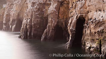 Sea Caves, the famous La Jolla sea caves lie below tall cliffs at Goldfish Point.  Sunrise.