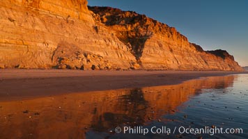 Torrey Pines bluffs, sea cliffs that rise above the Pacific Ocean, extending south towards Black's Beach and La Jolla, Torrey Pines State Reserve, San Diego, California