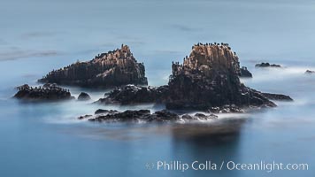 Cormorants and sea lions on Seal Rock, at night, waves lit by full moon, Laguna Beach, California