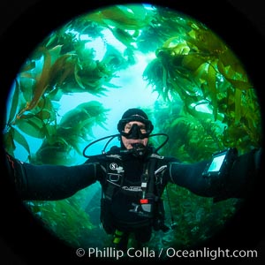 Self portrait in kelp forest, Catalina Island, Macrocystis pyrifera