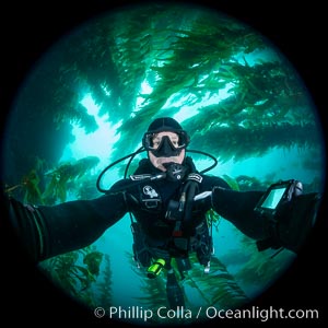 Self portrait in kelp forest, Catalina Island, Macrocystis pyrifera