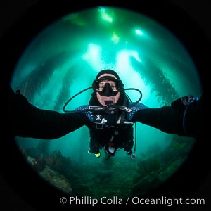 Self portrait, Kelp Forest, Catalina Island