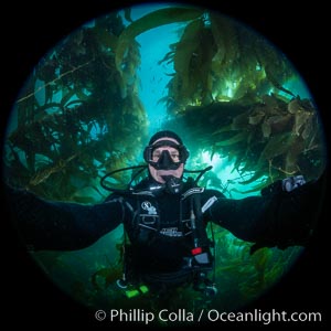 Selfie, giant kelp forest, Catalina Island, Macrocystis pyrifera