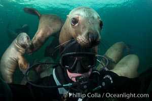 Selfie with Steller sea lion underwater, Norris Rocks, Hornby Island, British Columbia, Canada