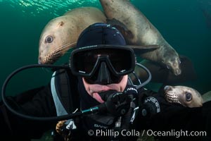 Selfie with Steller sea lion underwater, Norris Rocks, Hornby Island, British Columbia, Canada, Eumetopias jubatus