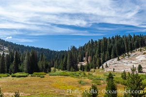 Long Meadow in late summer, Sequoia Kings Canyon National Park, California