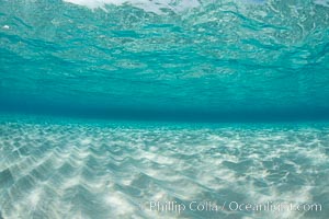 Shallow white sand, Grand Caymand Island
