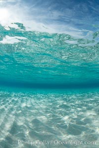 Shallow white sand, Grand Caymand Island