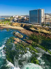 Shell Beach Reef Exposed at Extreme Low Tide, La Jolla, California