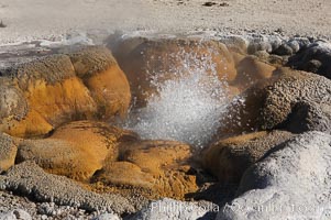 Shell Spring (Shell Geyser) erupts almost continuously.   The geysers opening resembles the two halves of a bivalve seashell, hence its name.  Biscuit Basin, Yellowstone National Park, Wyoming