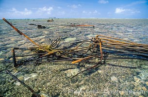 Wreck of F/V Jin Shiang Fa, Rose Atoll National Wildlife Sanctuary