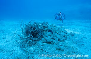 Harrison A. Stubbs, Ph.D, documenting damage to lagoon from wreck of F/V Jin Shiang Fa, Rose Atoll National Wildlife Sanctuary