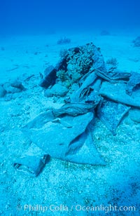Debris from wreck of F/V Jin Shiang Fa, lagoon floor, Rose Atoll National Wildlife Sanctuary
