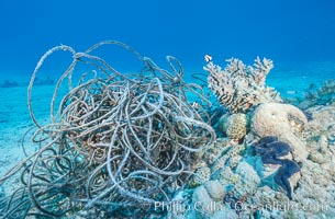 Debris from wreck of F/V Jin Shiang Fa, lagoon talus slope, Rose Atoll National Wildlife Sanctuary