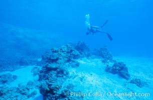 Debris from wreck of F/V Jin Shiang Fa, lagoon talus slope, Rose Atoll National Wildlife Sanctuary