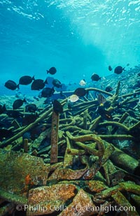 Debris,  wreck of F/V Jin Shiang Fa, Rose Atoll National Wildlife Sanctuary