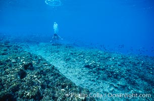 Keel scar caused by F/V Jin Shiang Fa to coralline algae reef, Rose Atoll National Wildlife Sanctuary